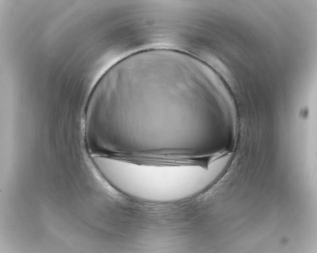 X0000093121428200710241253