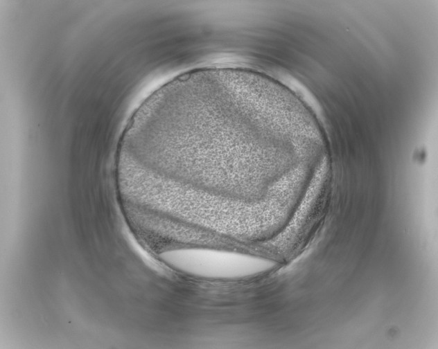 X0000093121429200710241253