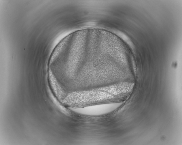 X0000093121431200710241253