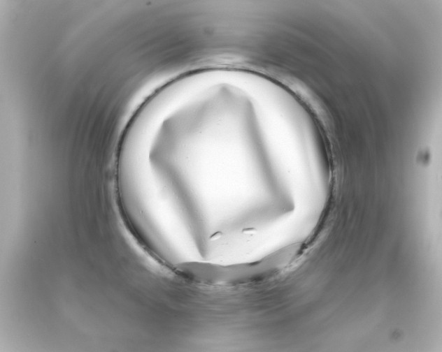 X0000093121432200710241253