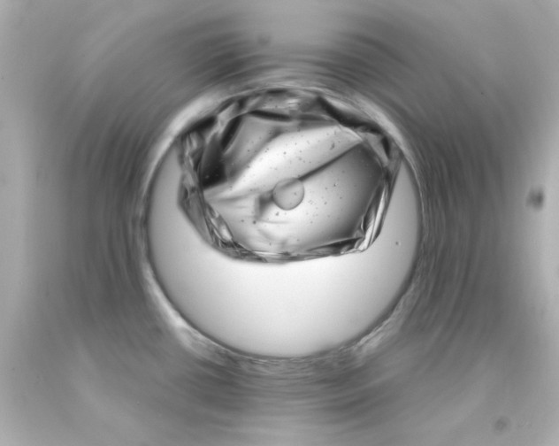 X0000093121434200710241253