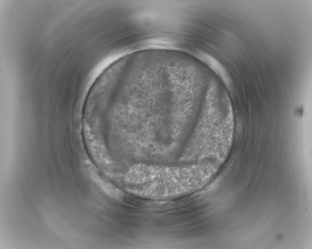 X0000093121435200710241253