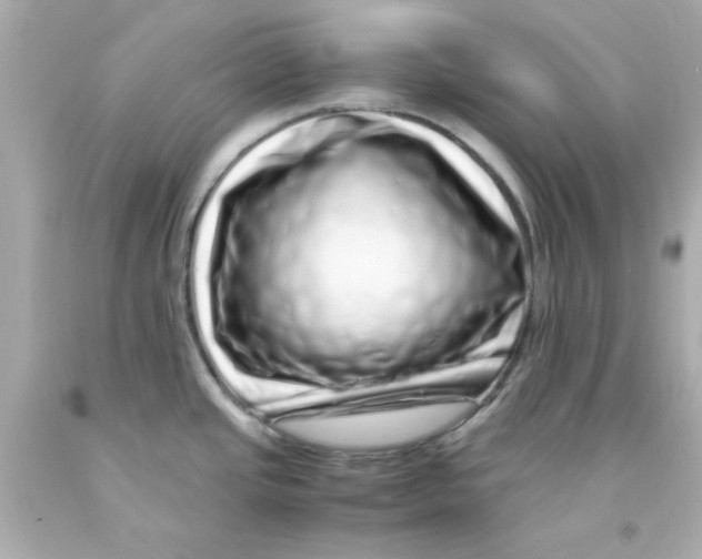 X0000093121437200710241253