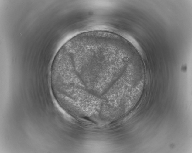 X0000093121439200710241253