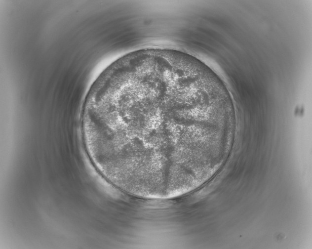 X0000093121440200710241253