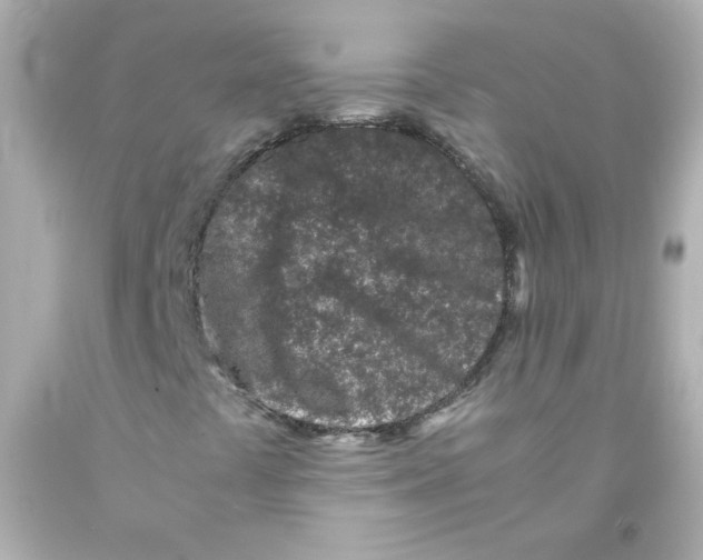 X0000093121441200710241253