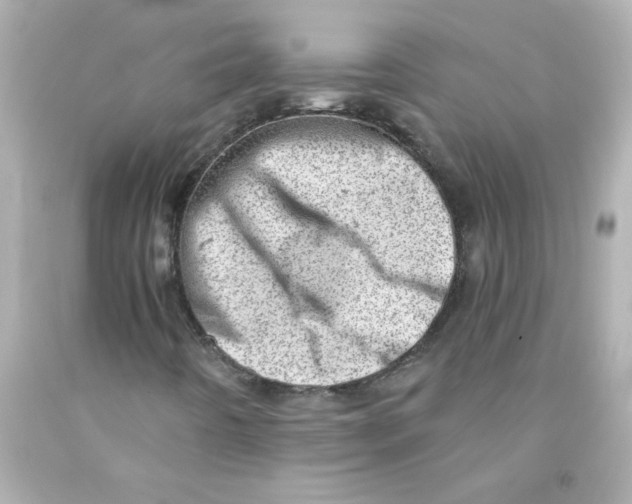 X0000093121442200710241253