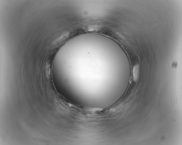 X0000093121443200710241253