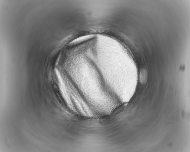 X0000093121444200710241253