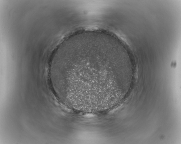 X0000093121445200710241253