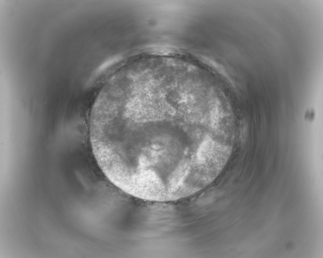 X0000093121446200710241253