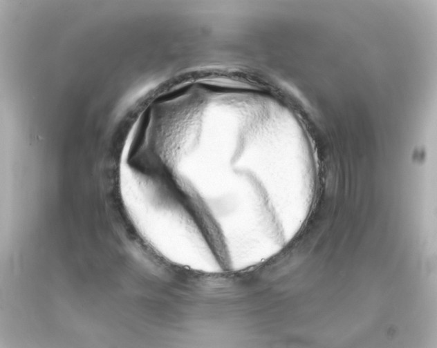 X0000093121448200710241253