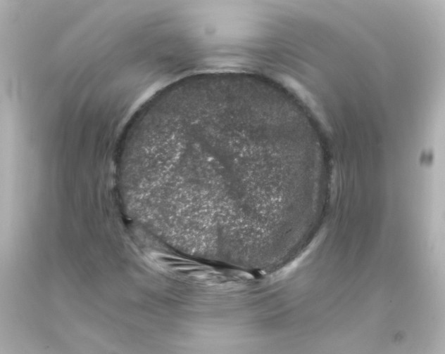 X0000093121449200710241253