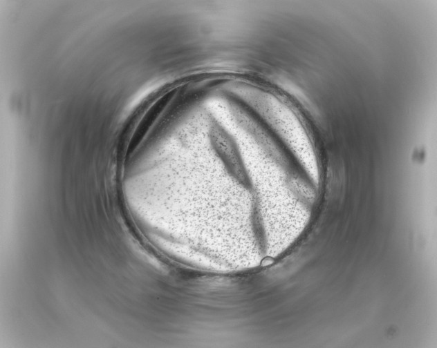 X0000093121450200710241253