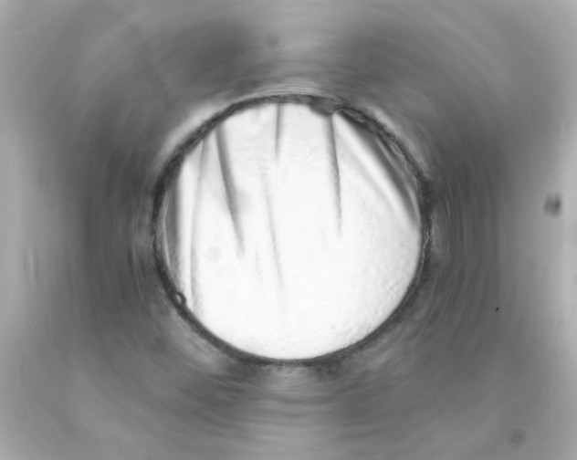 X0000093121452200710241253