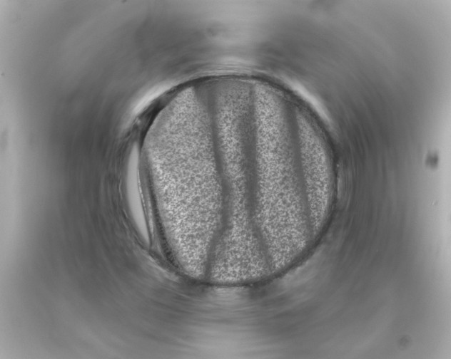 X0000093121453200710241253