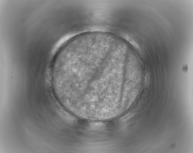 X0000093121454200710241253