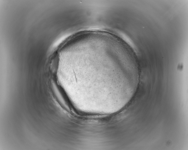 X0000093121456200710241253