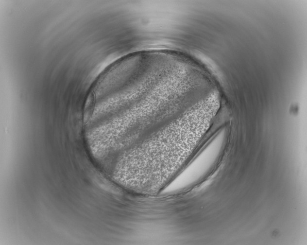 X0000093121457200710241253