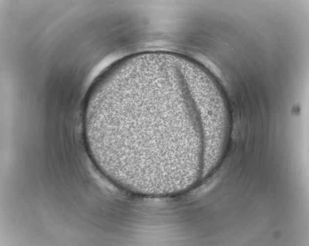 X0000093121458200710241253