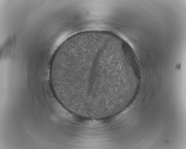 X0000093121459200710241253