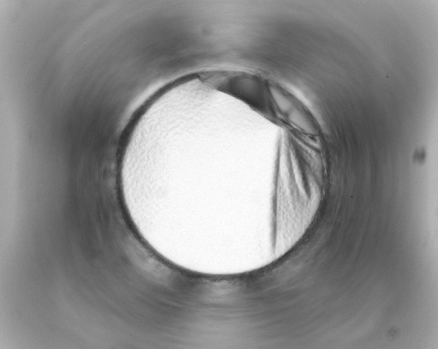 X0000093121460200710241253