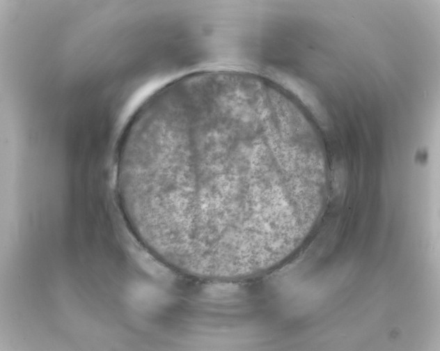 X0000093121462200710241253