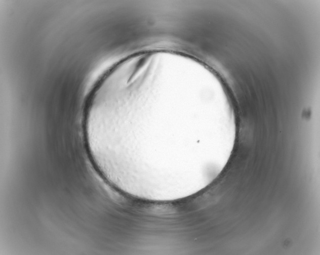 X0000093121464200710241253