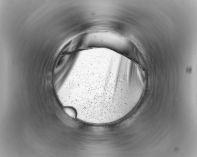 X0000093121465200710241253