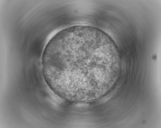 X0000093121466200710241253