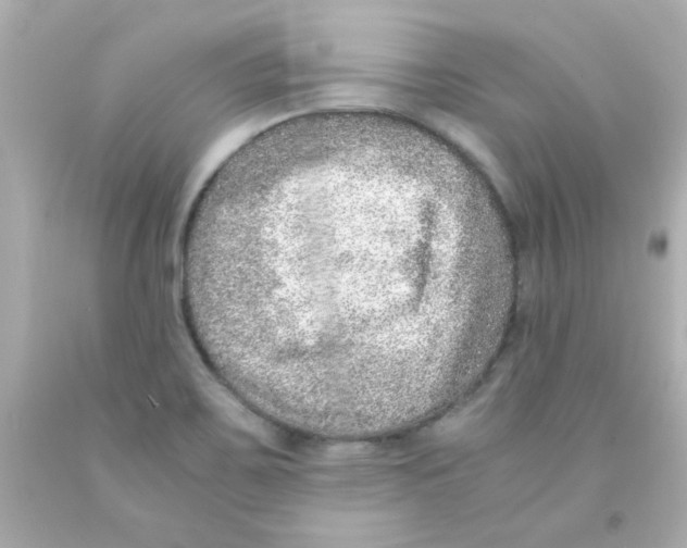 X0000093121467200710241252