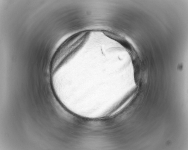 X0000093121468200710241252