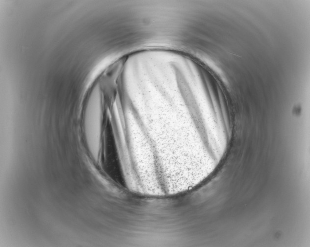 X0000093121469200710241252