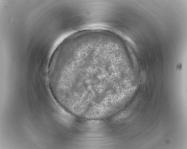 X0000093121470200710241252