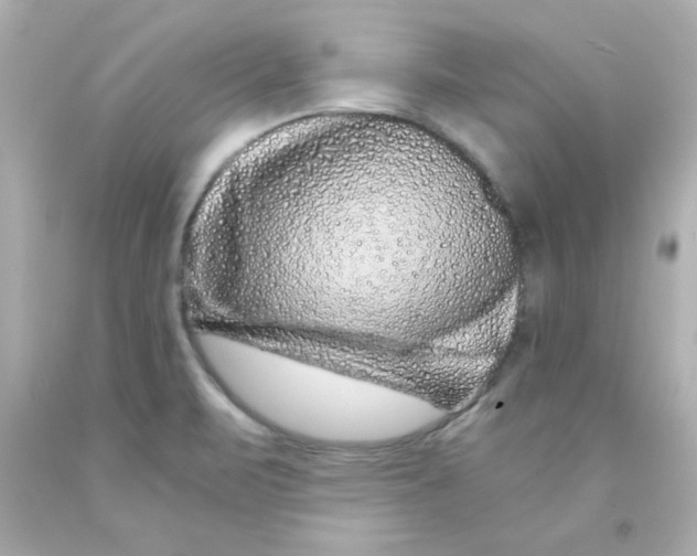 X0000093121471200710241252