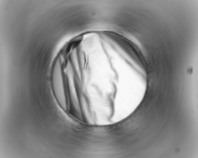 X0000093121472200710241252