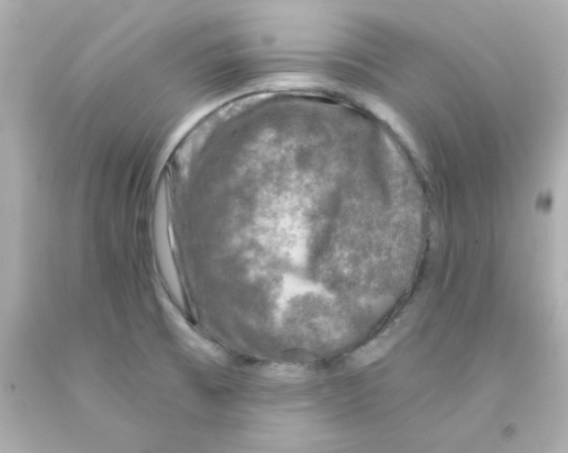 X0000093121473200710241252