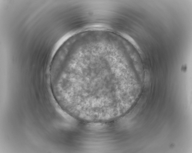 X0000093121474200710241252