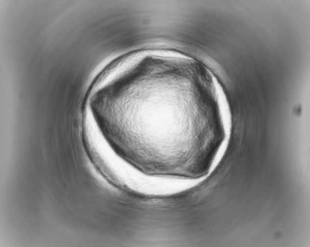 X0000093121476200710241252