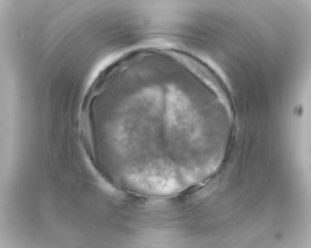 X0000093121477200710241252