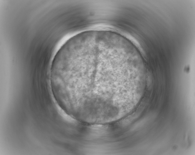 X0000093121478200710241252