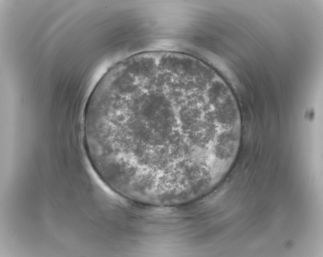 X0000093121479200710241252