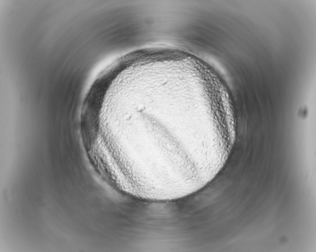 X0000093121480200710241252