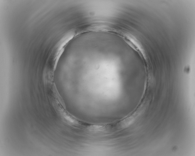 X0000093121481200710241252