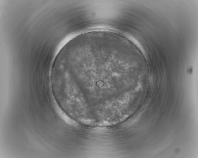 X0000093121482200710241252