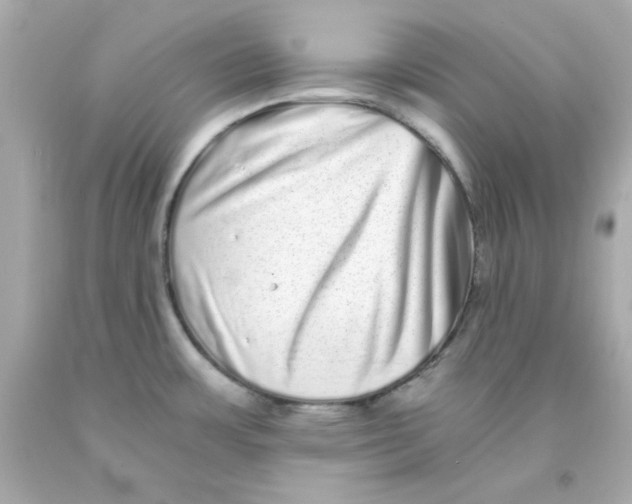 X0000093121483200710241252