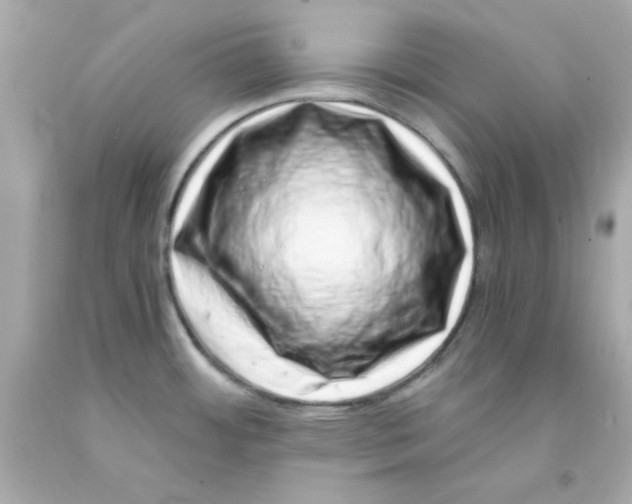 X0000093121484200710241252