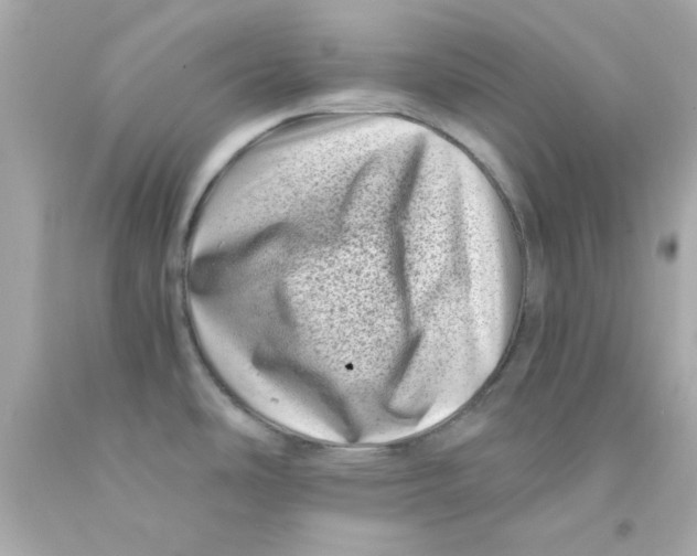 X0000093121486200710241252