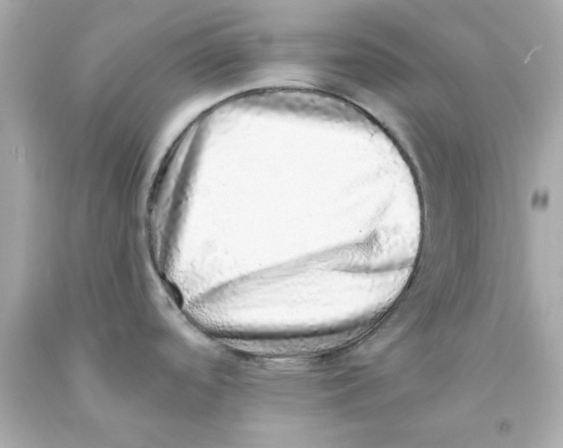 X0000093121488200710241252