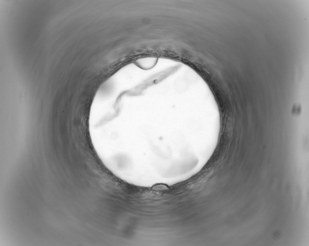 X0000093121489200710241252